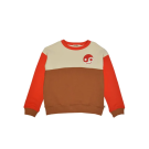 Sweater colourblock - Rocky color block artic cherry