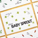 Baby Sprout  - bloeikaarten (citroenmelisse)