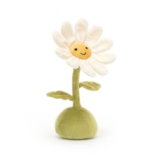 Bloem madelief - Flowerlette Daisy