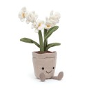 Orchidee knuffelplant - Amuseable cream orchid