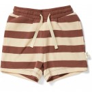 Bruin gestreepte short - Lou shorts striped fig brown