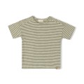 Kakigroene gestreepte t-shirt - Com tshirt khaki stripe