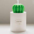 Luchtbevochtiger - cactus