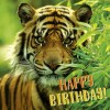 3D wenskaart - Happy birthday - tijger