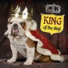 3D wenskaart - Verjaardag -  Verklede hond koning