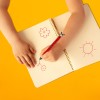Tweekleurige balpen lieveheersbeestje - Click&clack ladybug