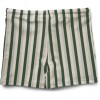 Groen gestreepte zwemshort - Otto swim pants garden green/sandy/dove blue