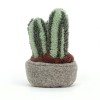 Silly de cactus knuffelplant