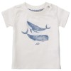 Ecru t-shirt met walvisjes - Montevallo pristine