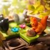 Smart game - Squirrels go nuts