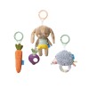 Set van 3 activiteitenspeeltjes - Activity toys kit  (Geboortelijst Lucie D.K.)